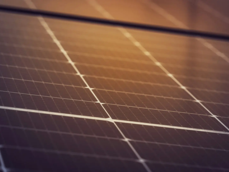 michael-pointner-ZGzMr04QdmU-unsplash michael-pointner-ZGzMr04QdmU-unsplash